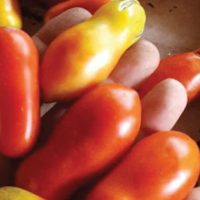 Pomodoro